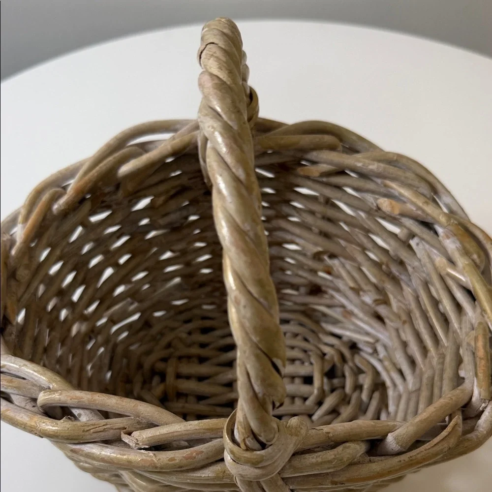 Woven Natural Rattan Storage Basket with Single Handle -‎ Beige/Tan